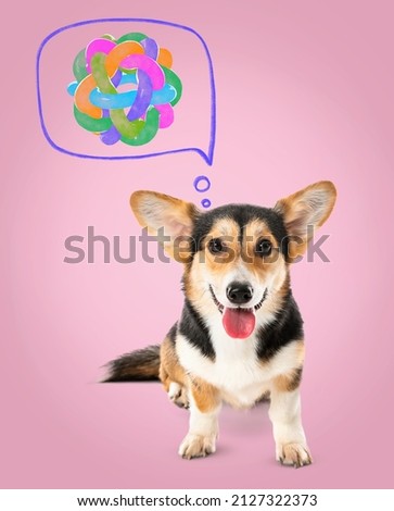 Cute corgi dog dreaming about toy on pink background 