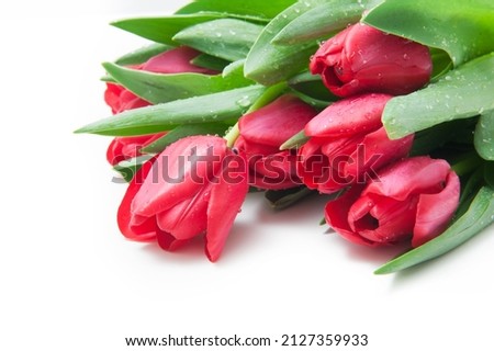 Bouquet of red tulips flowers on a white background