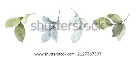 Set of watercolor green leaves elements. Collection botanical vector isolated on white background suitable for Wedding Invitation, save the date, thank you, or greeting card. Royalty-Free Stock Photo #2127367397