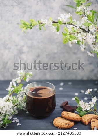 A glass cup of espresso coffee on the table with a blooming cherry branch . oatmeal cookies with chocolate