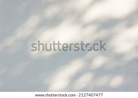 The sun's rays pass between the leaves and leave sunbeam spots. Calm soft summer background. natural shadow pattern Royalty-Free Stock Photo #2127407477