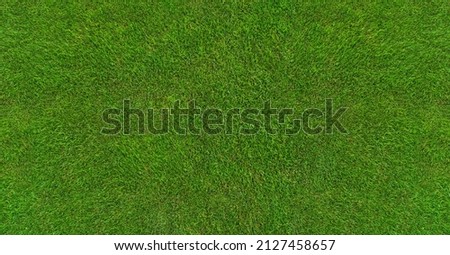 green grass texture - well-groomed turf in the garden Royalty-Free Stock Photo #2127458657