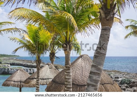 View of palm trees and thatched roofs at a Caribbean resort