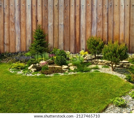  A beautiful landscape of the backyard and a composition of flowers and bushes against the background of a wooden fence. Detail of the botanical garden. Royalty-Free Stock Photo #2127465710
