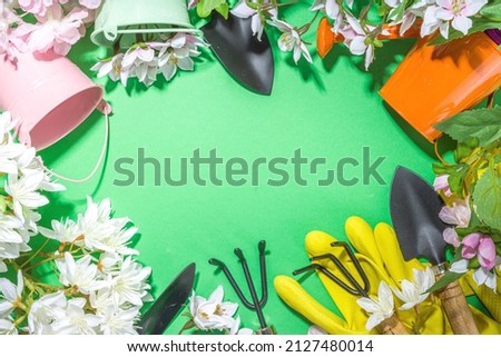 Spring gardening flatlay with gardening tools and herbs, seedlings, garden mittens, spring flowering tree branches top view copy space