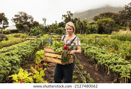 Cheerful organic farmer holding a box with fresh vegetables. Young female farmer smiling while harvesting fresh produce from her vegetable garden. Happy female farmer standing on her farm. Royalty-Free Stock Photo #2127480062