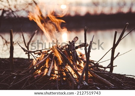 firewood burns in the fire. picnic in nature, fire in the forest.