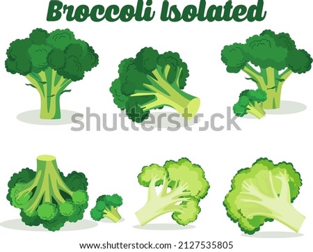 Vector broccoli designs and views from different angles Royalty-Free Stock Photo #2127535805