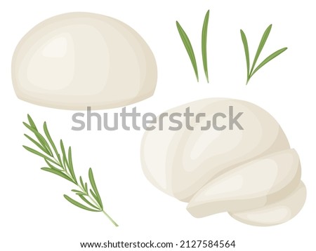 Mozzarella soft cheese block set. Farm market product for label, poster, icon, packaging. Royalty-Free Stock Photo #2127584564