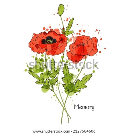 Vector bouquet of red poppy flowers. Watercolor splashes. Manual drawing. Vector illustration. Isolated object on a white background.