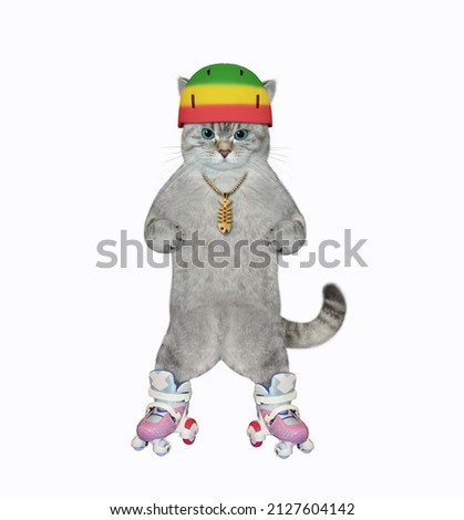 An ashen cat in a protective helmet rides on roller skates. White background. Isolated.