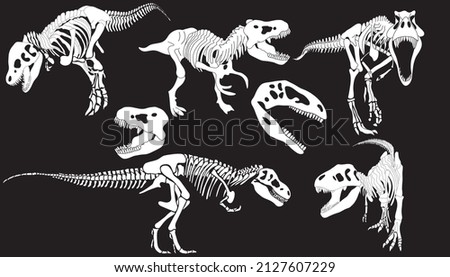 Graphic set of Theranosaurus skeletons isolated on white and black backgrounds. vector drawing