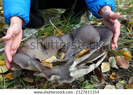 Woman's hands around a big mushroom in the autumn forest.