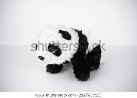 Soft toy panda on white background