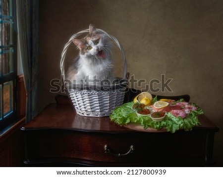 Funny Siberian kitty and plate of seafood 