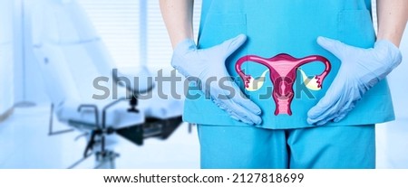 gynecologist and a model of the reproductive system of a woman, the uterus, at the level of the pelvic bones of a woman, on a blurred background of a gynecological chair in the office. 