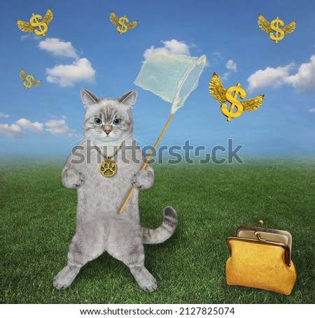 An ashen cat with a butterfly net catches gold winged dollars in the meadow.