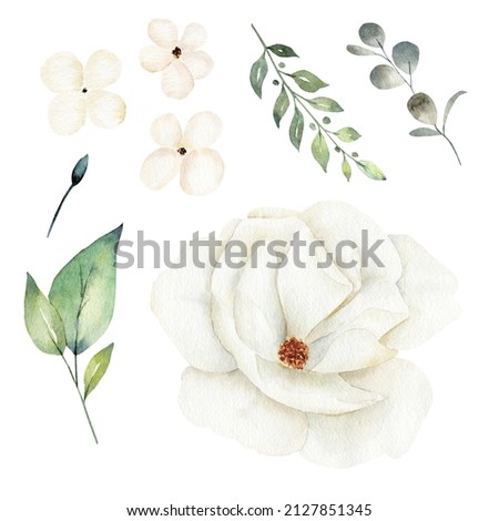 White flower and greenery leaves clipart set. Watercolor hand drawn illustration.