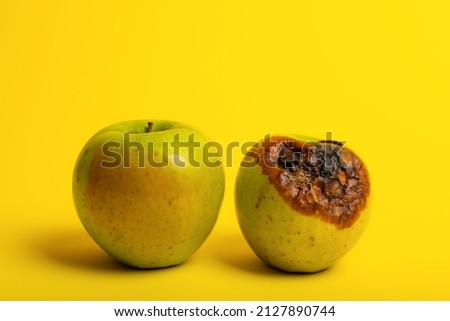 Rotten apples on a yellow background. Picture shows the problem of excessive food intake in the world. Big green apples that have gone bad. Rotten fruits on bright yellow background.