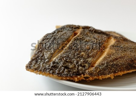Grilled flounder on a white background