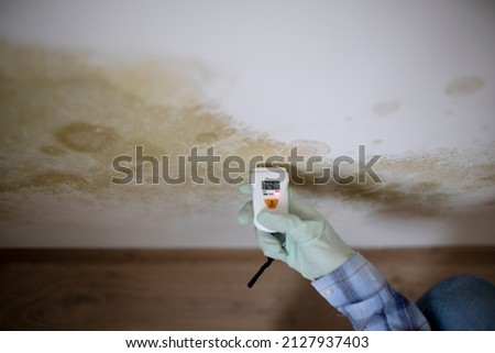 young woman measures the humidity on a wall with a lot of mold in an apartment