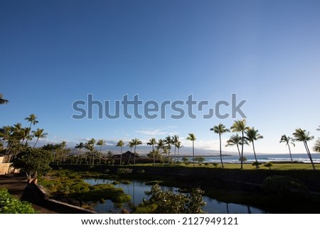 A vast view of the Big Island of Hawaii over a pond and rows of palm trees.