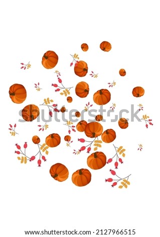 Orange Pumpkin Background White Vector. Leaves Decoration. Red Happy Banner. Vibrant Illustration. Gold Plant Food Frame.