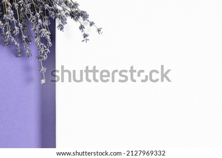 Lavender flowers in color of year. Color of the year 2022 Very Peri. Flat lay, top view, copy space