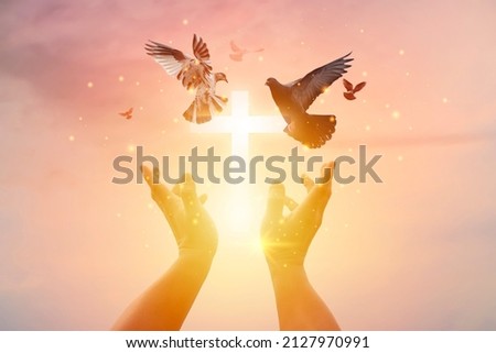 Woman praying with cross and flying bird in nature sunset background, hope concept Royalty-Free Stock Photo #2127970991