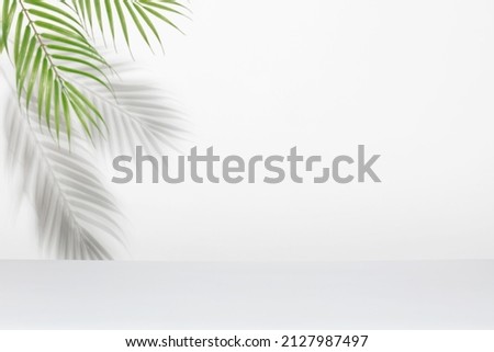 Creative layout made of colorful tropical leaves on white background. Minimal summer exotic concept with copy space. Border arrangement. Banner
