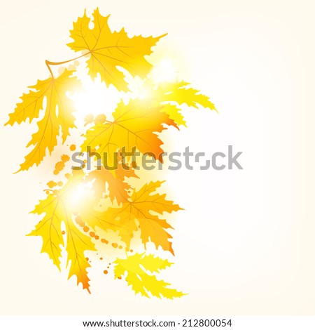 Autumn maple leaves background with space for text.