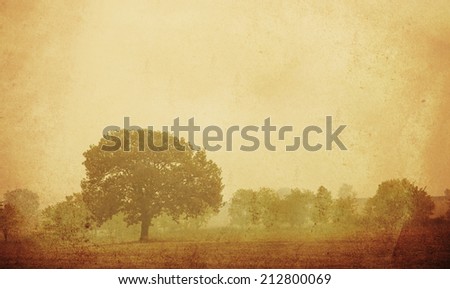 Vintage nature background with several trees,  old card with forest 