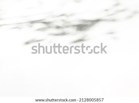 Leaf shadows on a sandy background. Minimal concept. Creative copy space. Abstract neutral nature concept. Blurred background. Photo overlay effect.