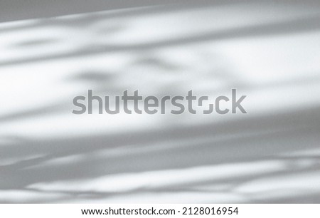 Organic shadow on white wall, overlay effect for photos, mockups, posters, stationery, wall art, design presentations. Abstract background. Blurred background.