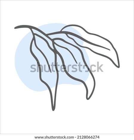 Single line Exotic Branch with a splash of paint on the background. Flower line nature icon vector. Trendy spring Vector illustration.