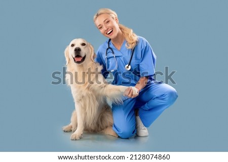 Veterinary Clinic Advertisement Concept. Happy Female Nurse In Scrubs Uniform And Stethoscope Posing With Dog, Holding Labrador's Paw Sitting On Floor Looking At Camera Isolated Blue Studio Background Royalty-Free Stock Photo #2128074860