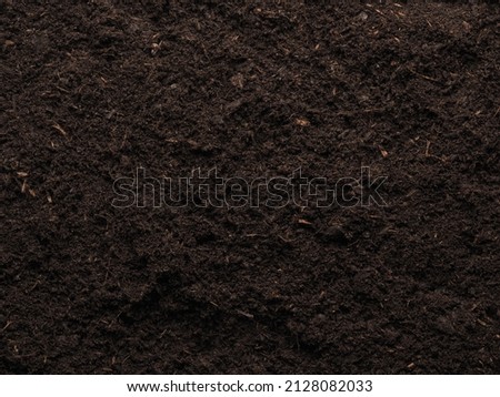 Texture of a planting bed or potting soil, view from above, space for your image or text, garden time or planting time concept