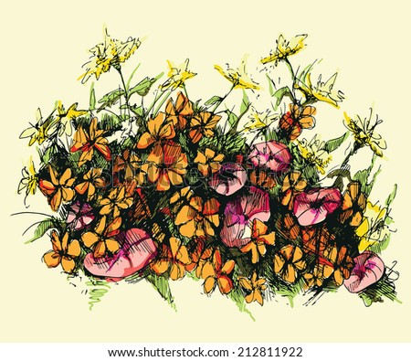 Vector hand drawn floral illustration of beautiful bindweed and dandelions