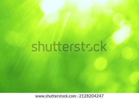 Blurred image. sunlight through leaves on tree, image blur bokeh background. Background green blur beautiful is the bokeh effect nature color. spring time season