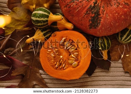 Pumpkin, leaves, spices on the background. Autumn concept. Top view.