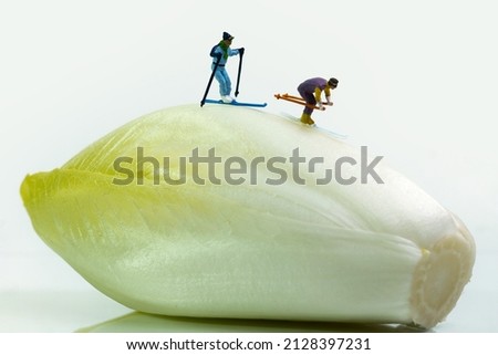 skiers are skiing on a chicory salad on white background. Concept: healthy eating, food