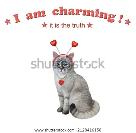 An ashen cat in headband with hearts. I am charming. White background. Isolated.