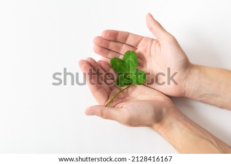 Hands holding a shamrock on white background. A four leaf clover. Good for luck or St. Patrick's day. Shamrock, symbol of fortune, happiness and success. Holding good luck in hands. Close up