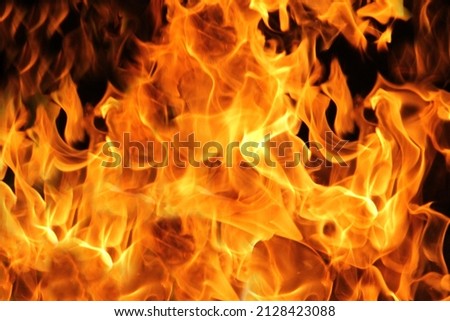 Fire flames on black background. The fire in the natural forest, flames and sparks on a dark background Fuel , lights on a black background.