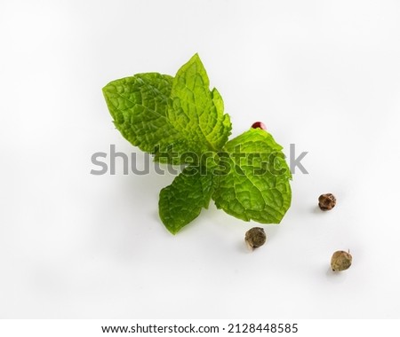 Mint, fresh herbs on a white background. Green peppermint, spearmint leaves and black peppercorns, isolated. A graphic design element, food packshot garnish, decoration, with a copy space.