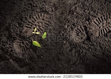soldier boot prints on the ground and broken green plant sprout, military conflict and war concept, earth day background