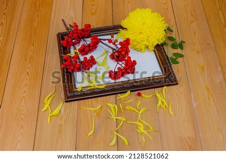 Red rowan berries on a rowan tree. Red apple. Yellow chrysanthemum flower, lilies.Still life in a wooden frame. picture.  A rowan tree on a branch. Ashberry. non - GMO .on a white background.