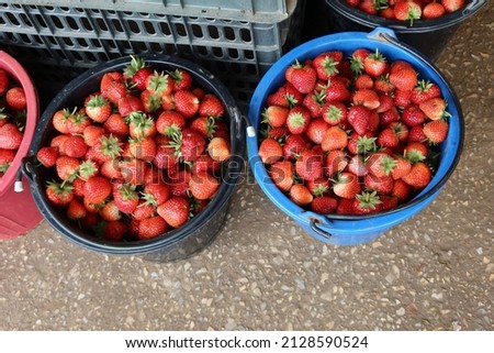top view fresh strawberries put in buckets for sale in the fruit market