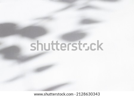 Shadows of leaves on a light background. Photo overlay effect. Minimal concept. Creative copy space. Abstract concept of neutral nature. Blurred background. Copy space