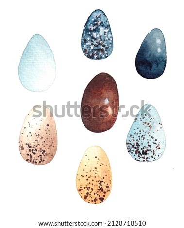 watercolor eggs: blue, white, yellow, brown, blue. pattern elements, clip art. decorative elements